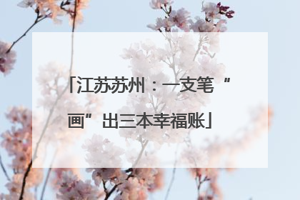 江苏苏州:一支笔“画”出三本幸福账