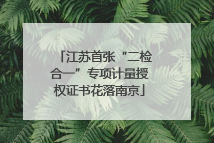 江苏首张“二检合一”专项计量授权证书花落南京