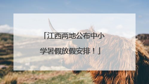 江西两地公布中小学暑假放假安排！