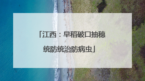 江西：早稻破口抽穗 统防统治防病虫