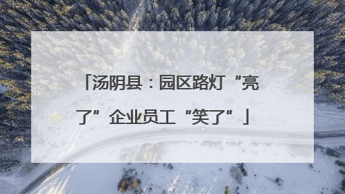 汤阴县：园区路灯“亮了”企业员工“笑了”