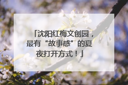 沈阳红梅文创园，最有“故事感”的夏夜打开方式！