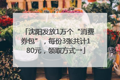 沈阳发放1万个“消费券包”，每份3张共计180元，领取方式→