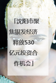 沈阳市聚焦银发经济释放530亿元投资合作机会