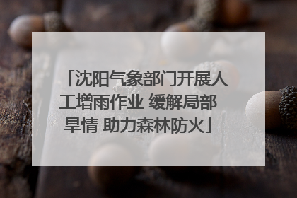 沈阳气象部门开展人工增雨作业 缓解局部旱情 助力森林防火