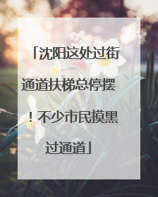 沈阳这处过街通道扶梯总停摆！不少市民摸黑过通道