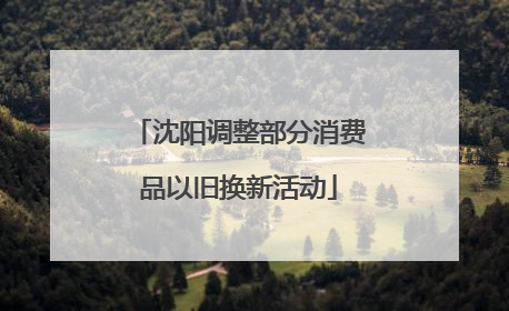 沈阳调整部分消费品以旧换新活动