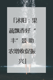 沭阳：果蔬飘香好“丰”景 助农增收促振兴