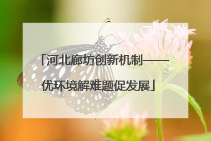 河北廊坊创新机制——优环境解难题促发展
