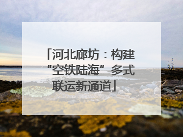 河北廊坊：构建“空铁陆海”多式联运新通道