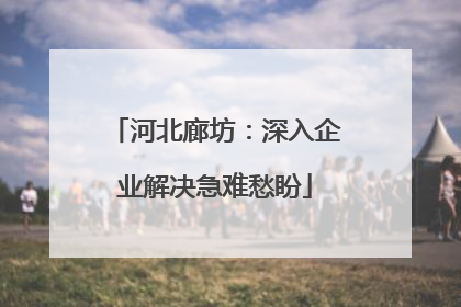 河北廊坊：深入企业解决急难愁盼