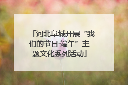 河北阜城开展“我们的节日·端午”主题文化系列活动
