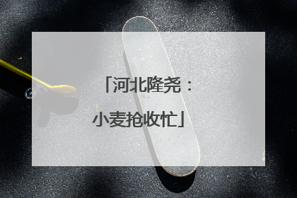 河北隆尧：小麦抢收忙
