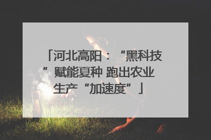 河北高阳：“黑科技”赋能夏种 跑出农业生产“加速度”