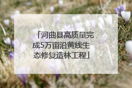 河曲县高质量完成5万亩沿黄线生态修复造林工程