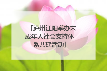 泸州江阳举办未成年人社会支持体系共建活动