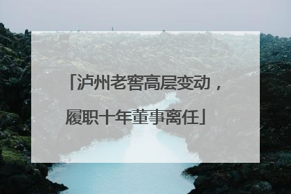 泸州老窖高层变动，履职十年董事离任