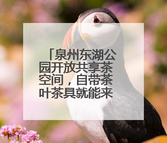 泉州东湖公园开放共享茶空间，自带茶叶茶具就能来！