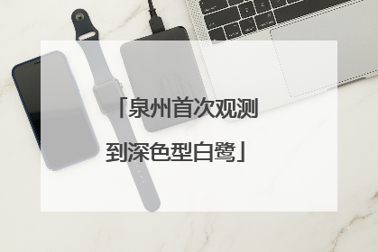 泉州首次观测到深色型白鹭