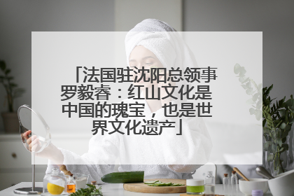 法国驻沈阳总领事罗毅睿：红山文化是中国的瑰宝，也是世界文化遗产