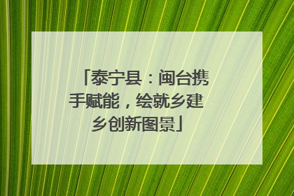 泰宁县：闽台携手赋能，绘就乡建乡创新图景