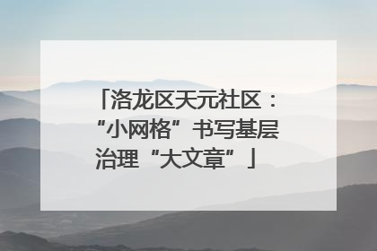 洛龙区天元社区：“小网格”书写基层治理“大文章”