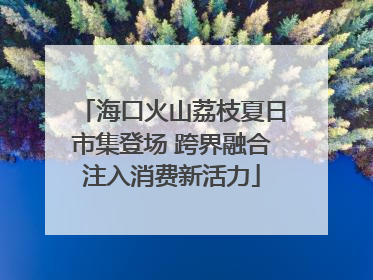 海口火山荔枝夏日市集登场 跨界融合注入消费新活力