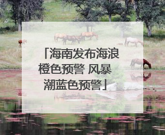 海南发布海浪橙色预警 风暴潮蓝色预警