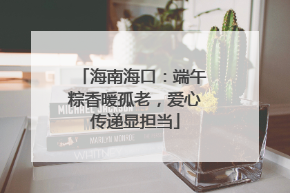 海南海口：端午粽香暖孤老，爱心传递显担当