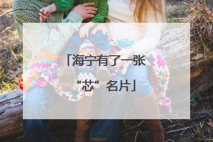 海宁有了一张“芯”名片