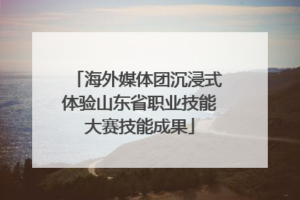 海外媒体团沉浸式体验山东省职业技能大赛技能成果