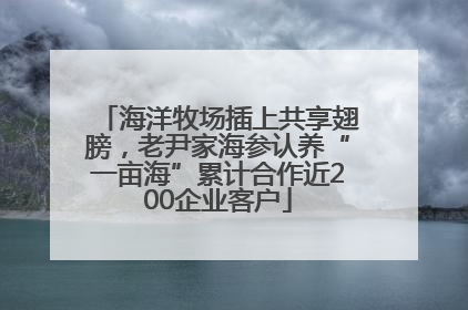 海洋牧场插上共享翅膀，老尹家海参认养“一亩海”累计合作近200企业客户