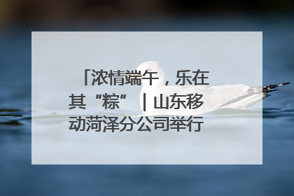 浓情端午，乐在其“粽”｜山东移动菏泽分公司举行端午节主题活动