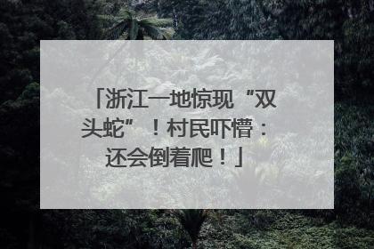 浙江一地惊现“双头蛇”！村民吓懵：还会倒着爬！