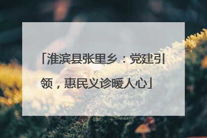 淮滨县张里乡：党建引领，惠民义诊暖人心