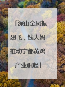 深山金凤振翅飞，钱大妈推动宁都黄鸡产业崛起