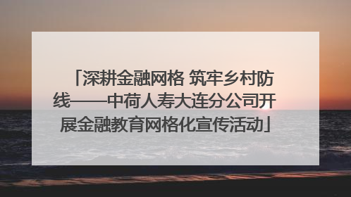 深耕金融网格 筑牢乡村防线——中荷人寿大连分公司开展金融教育网格化宣传活动