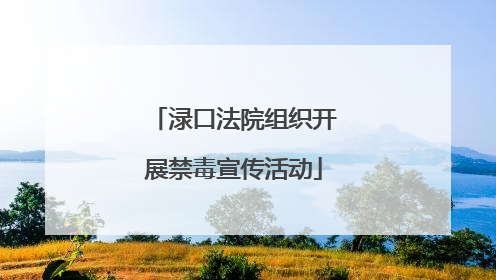 渌口法院组织开展禁毒宣传活动