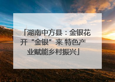 湖南中方县：金银花开“金银”来 特色产业赋能乡村振兴