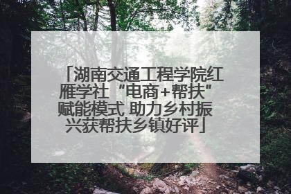 湖南交通工程学院红雁学社“电商+帮扶”赋能模式 助力乡村振兴获帮扶乡镇好评