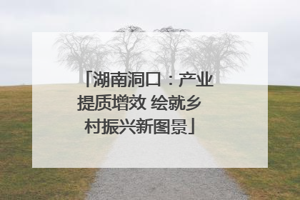 湖南洞口：产业提质增效 绘就乡村振兴新图景