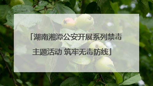 湖南湘潭公安开展系列禁毒主题活动 筑牢无毒防线