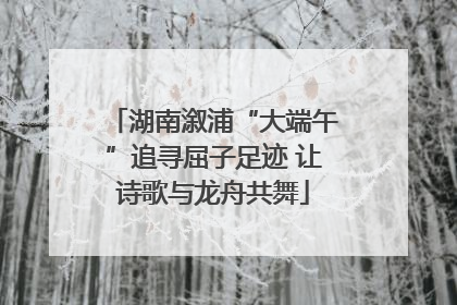 湖南溆浦“大端午”追寻屈子足迹 让诗歌与龙舟共舞