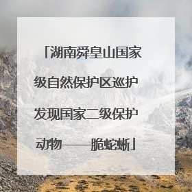 湖南舜皇山国家级自然保护区巡护发现国家二级保护动物——脆蛇蜥