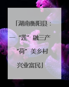 湖南衡阳县：一“莲”融三产 “荷”美乡村兴业富民
