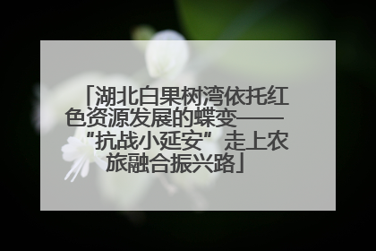 湖北白果树湾依托红色资源发展的蝶变——“抗战小延安”走上农旅融合振兴路