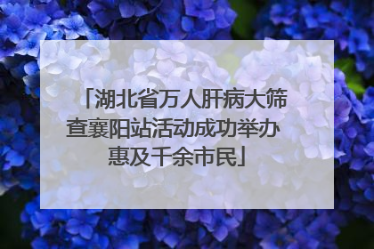 湖北省万人肝病大筛查襄阳站活动成功举办 惠及千余市民