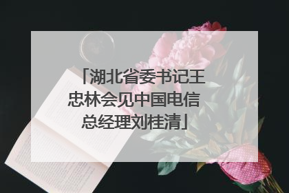 湖北省委书记王忠林会见中国电信总经理刘桂清