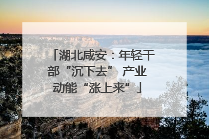 湖北咸安：年轻干部“沉下去” 产业动能“涨上来”