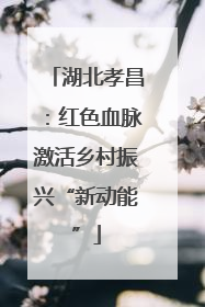 湖北孝昌：红色血脉激活乡村振兴“新动能”